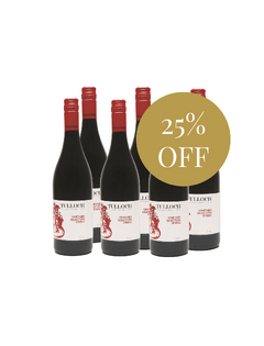 Vineyard Selection Shiraz 2024 August Members 6-Pack Special