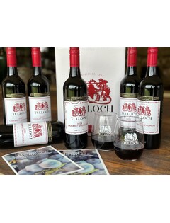 Cabernet Christmas Pack