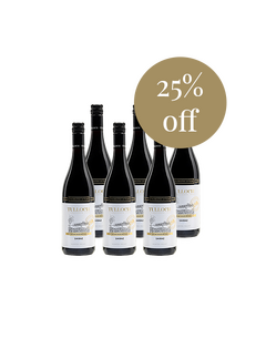Limited Edition Shiraz 2017 March 6 Pack Special