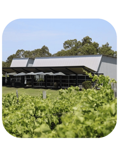 Hunter Valley Members Lunch