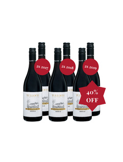 International Shiraz Day 6-Pack