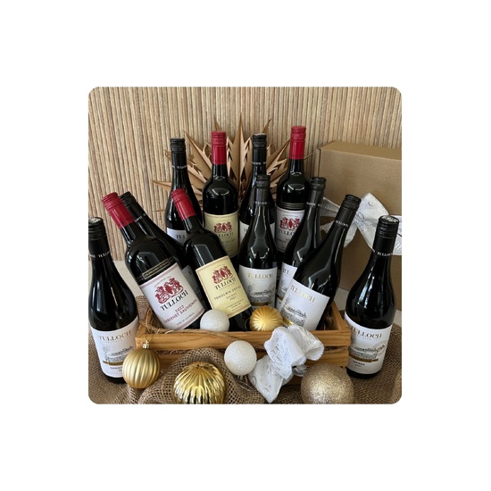 Jolly Red Christmas DOZEN